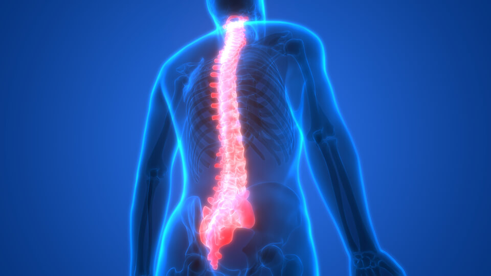 Keele professor awarded prestigious medal in recognition of her vital research